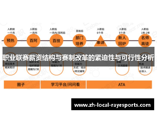 职业联赛薪资结构与赛制改革的紧迫性与可行性分析